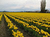201304 058