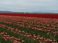 201304 064