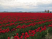 201304 068