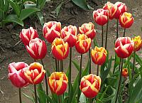 201304 072