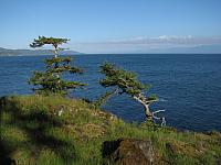 B.C.
