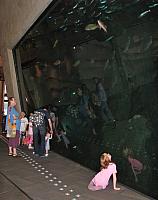 201306 095