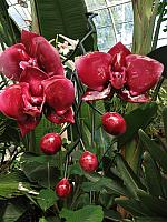 20130601 010