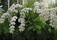 20130601 015
