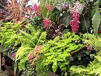 20130601 036