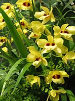20130601 048