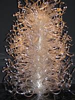 201308Guests 041
