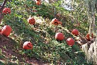201310 155