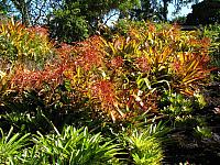 201312HawaiiA 167