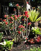 201312HawaiiA 171