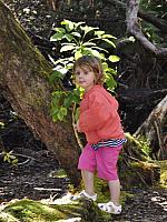 201312 Hawaii Edo 136