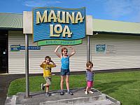 201312HawaiiA 490