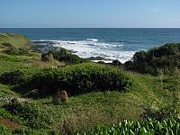 201312HawaiiA 593