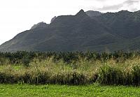 201312HawaiiA 597