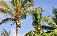201312 Hawaii C 010