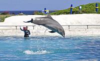 201312 Hawaii C 054