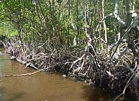 201402CaribK 112