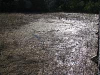 201402Carib 1312