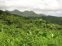 201402Carib 733