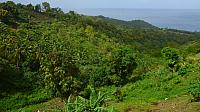 201402CaribK 377