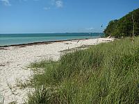 201402Carib 254