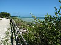 201402Carib 259