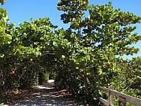 201402Carib 268
