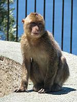 201407 Espana 1072