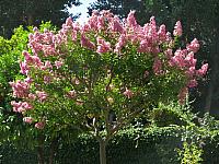 201407 Espana 1211