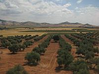 201407 Espana 1594