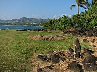 201501 Hawaii 009