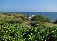 201501 Hawaii 030