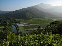 201501 Hawaii 107