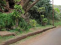 201501 Hawaii 118