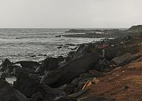 201501 Hawaii 136