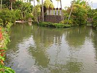 201501 Hawaii 467