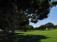 201501 Hawaii 561