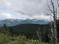 201507 018