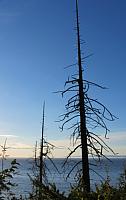 201509OlympicPeninsula 045