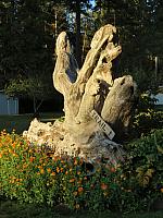 201509OlympicPeninsula 047