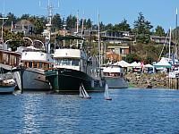 201509OlympicPeninsula 089