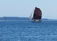 201509OlympicPeninsula 094