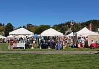 201509OlympicPeninsula 169