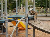 201510 036