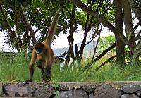 201511 Trip 1084