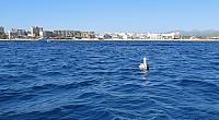201511 Trip 1321