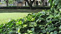 IMG 4014