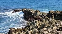 IMG 4079
