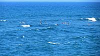 IMG 4086