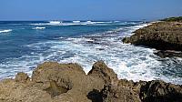 IMG 4092